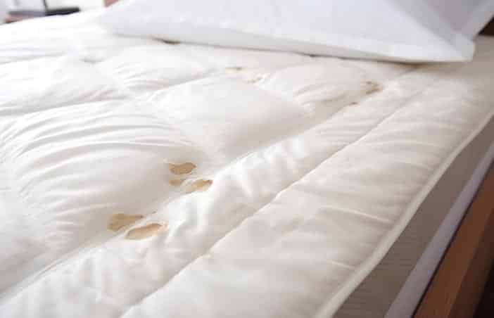 CouchShine